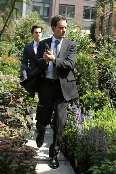 Fotoğraf Tim DeKay