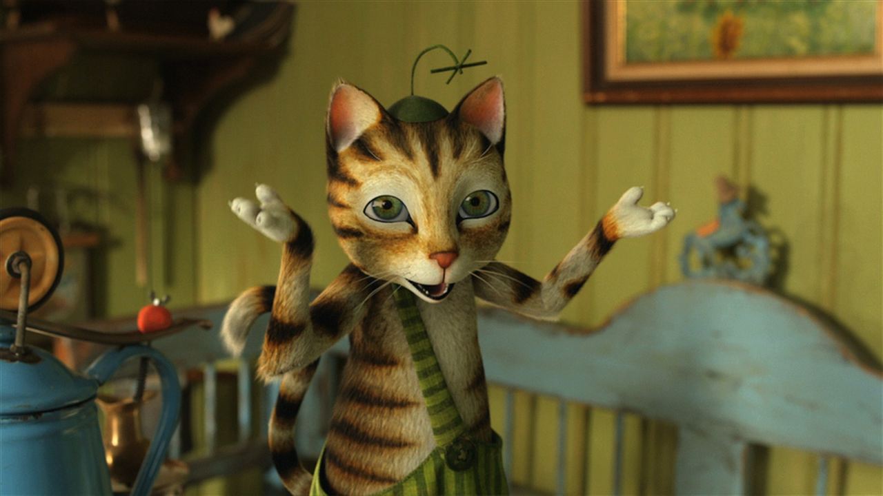 Fırıldak Kedi Findus : Fotoğraf