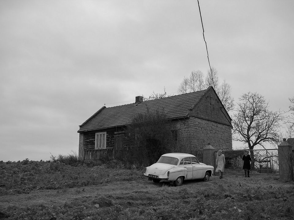 Ida : Fotoğraf