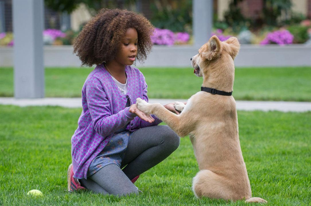 Annie : Fotoğraf Quvenzhané Wallis