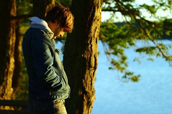 Your Sister's Sister : Fotoğraf