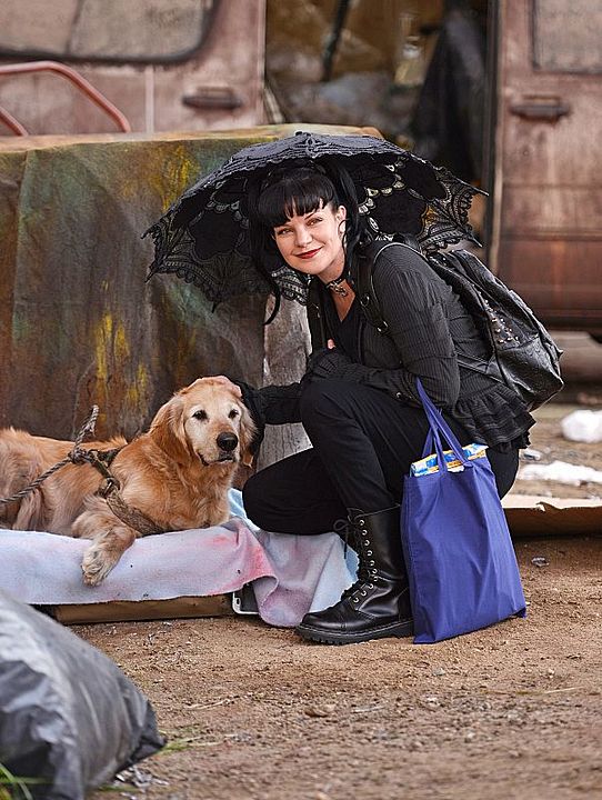 Fotoğraf Pauley Perrette