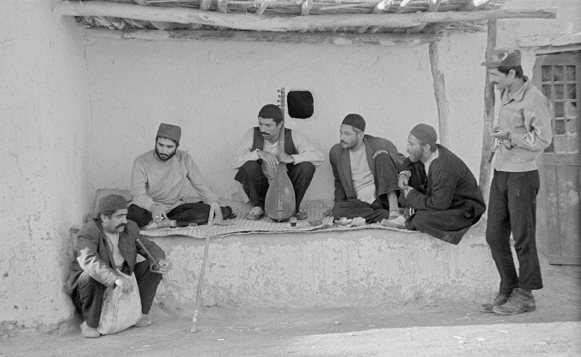 İnek : Fotoğraf