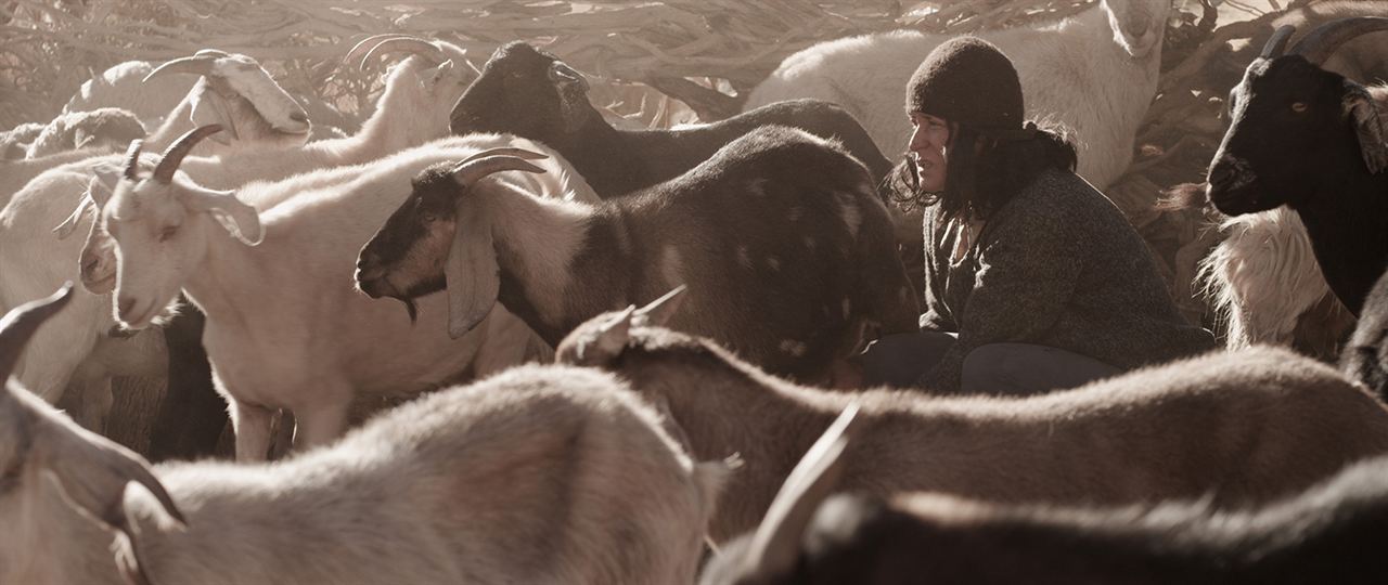 Kız Kardeşler : Fotoğraf