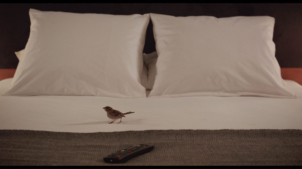 Bird People : Fotoğraf