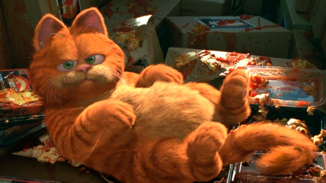 Garfield : Fotoğraf