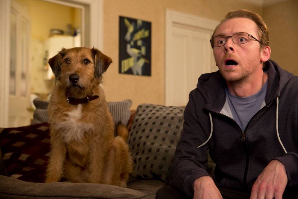 Absolutely Anything : Fotoğraf
