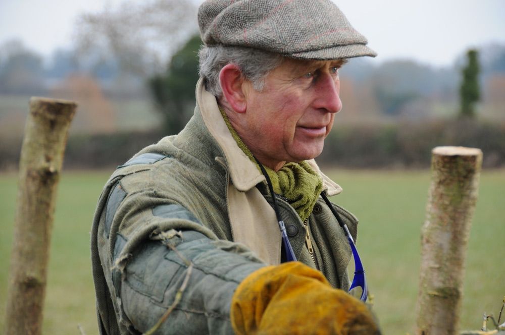 Fotoğraf King Charles III