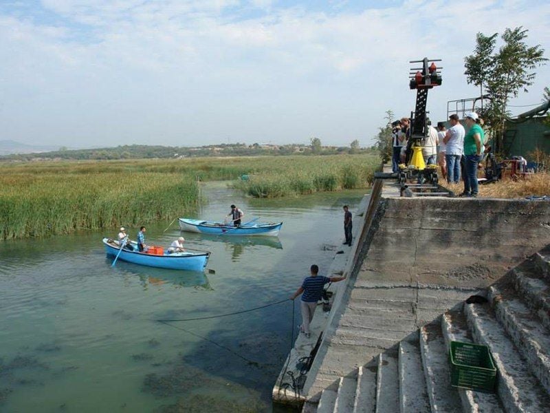 Balık : Fotoğraf