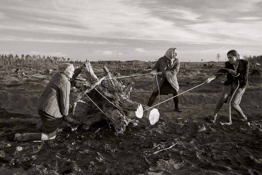 Rüzgarların Arasında : Fotoğraf