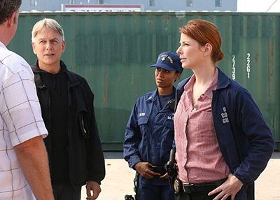 NCIS : Fotoğraf Mark Harmon