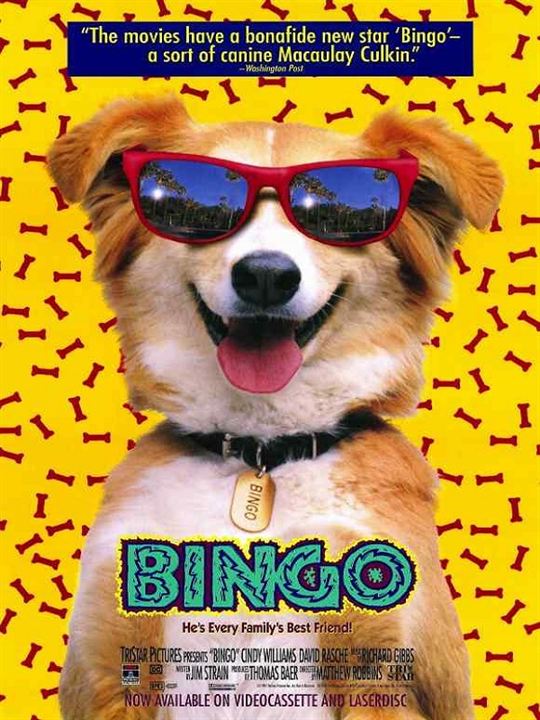 Kahraman Köpek Bingo : Afiş