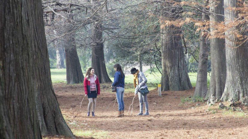 Mi Amiga Del Parque : Fotoğraf