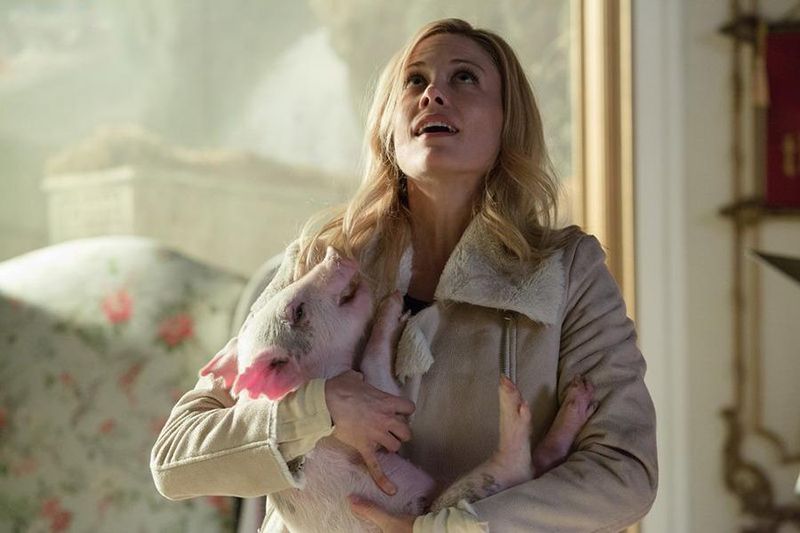 Fotoğraf Claire Coffee