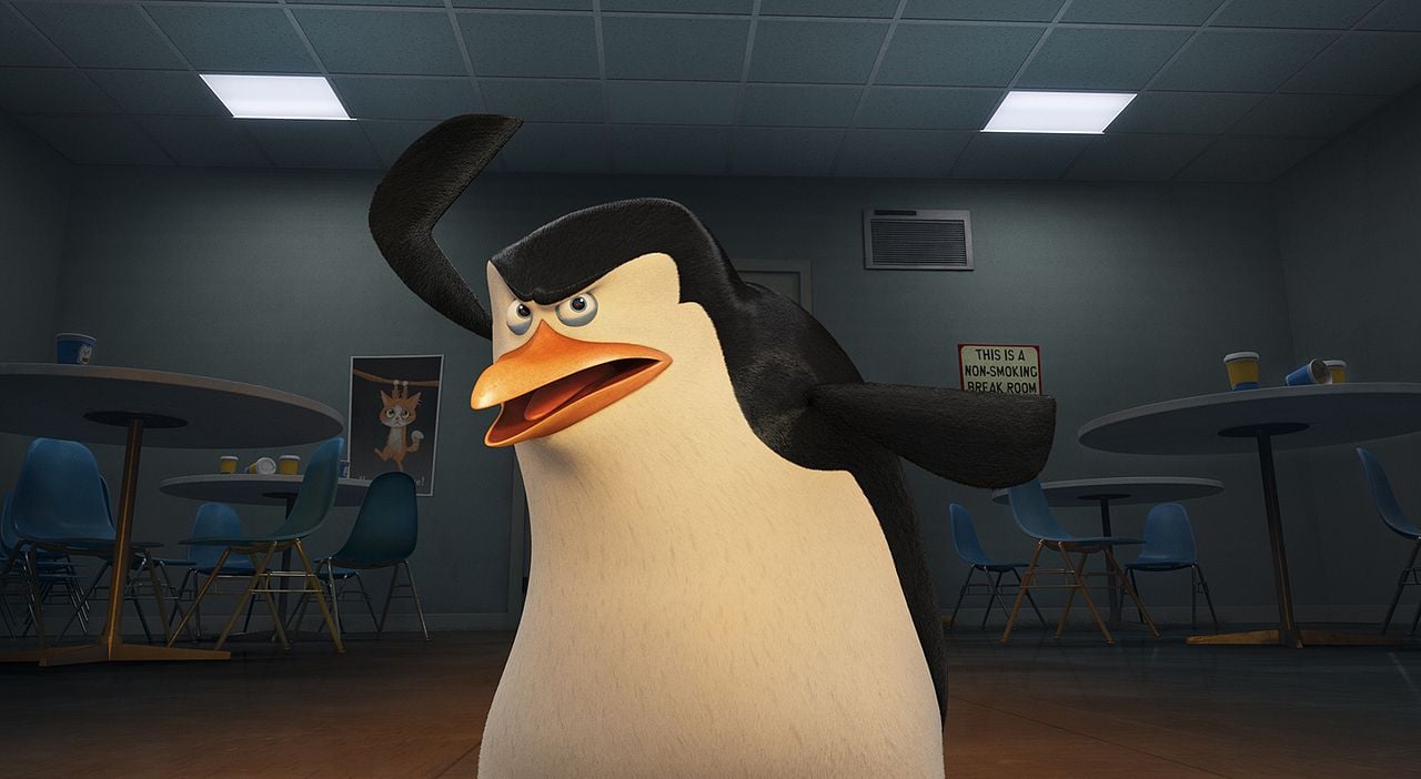 Madagaskar Penguenleri : Fotoğraf
