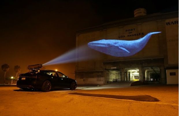 Racing Extinction : Fotoğraf