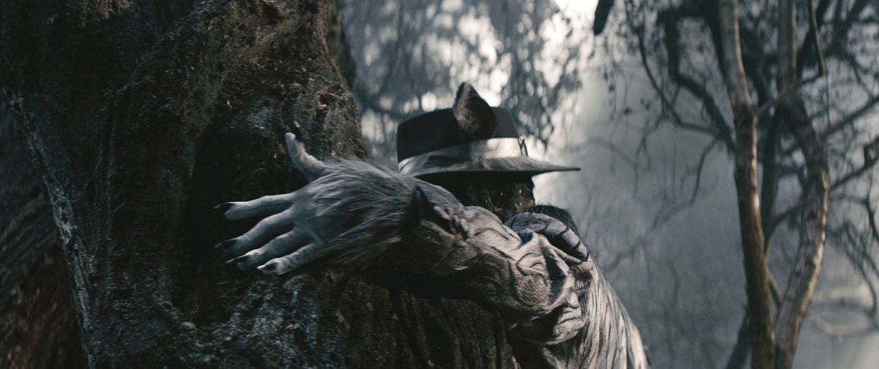 Sihirli Orman : Fotoğraf Johnny Depp