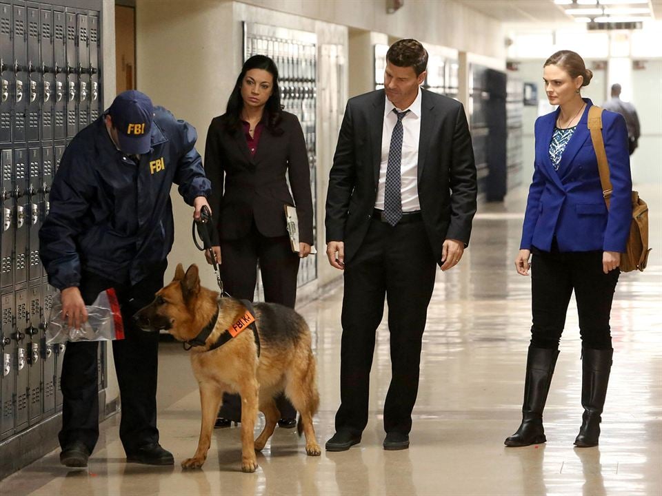 Bones : Fotoğraf David Boreanaz, Emily Deschanel