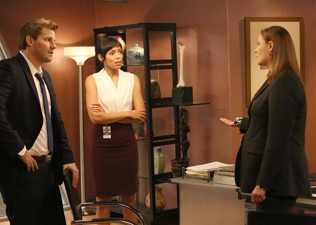 Bones : Fotoğraf David Boreanaz, Emily Deschanel, Tamara Taylor