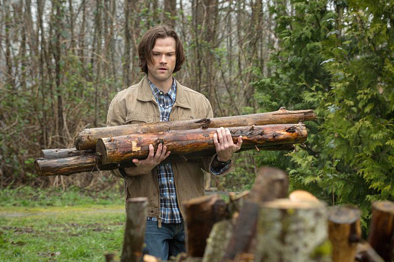 Fotoğraf Jared Padalecki