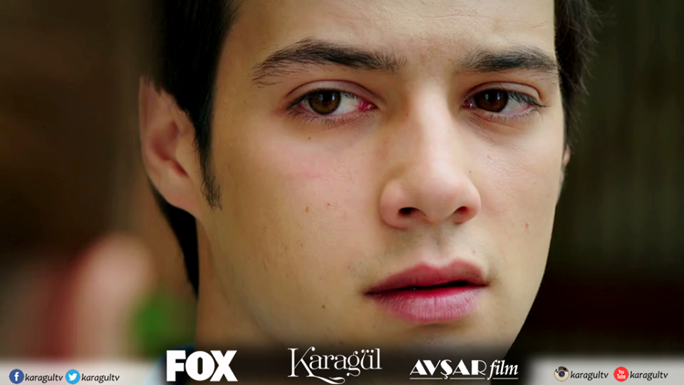 Karagül : Fotoğraf