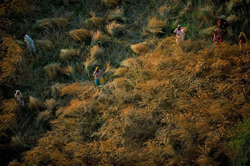 Human : Fotoğraf