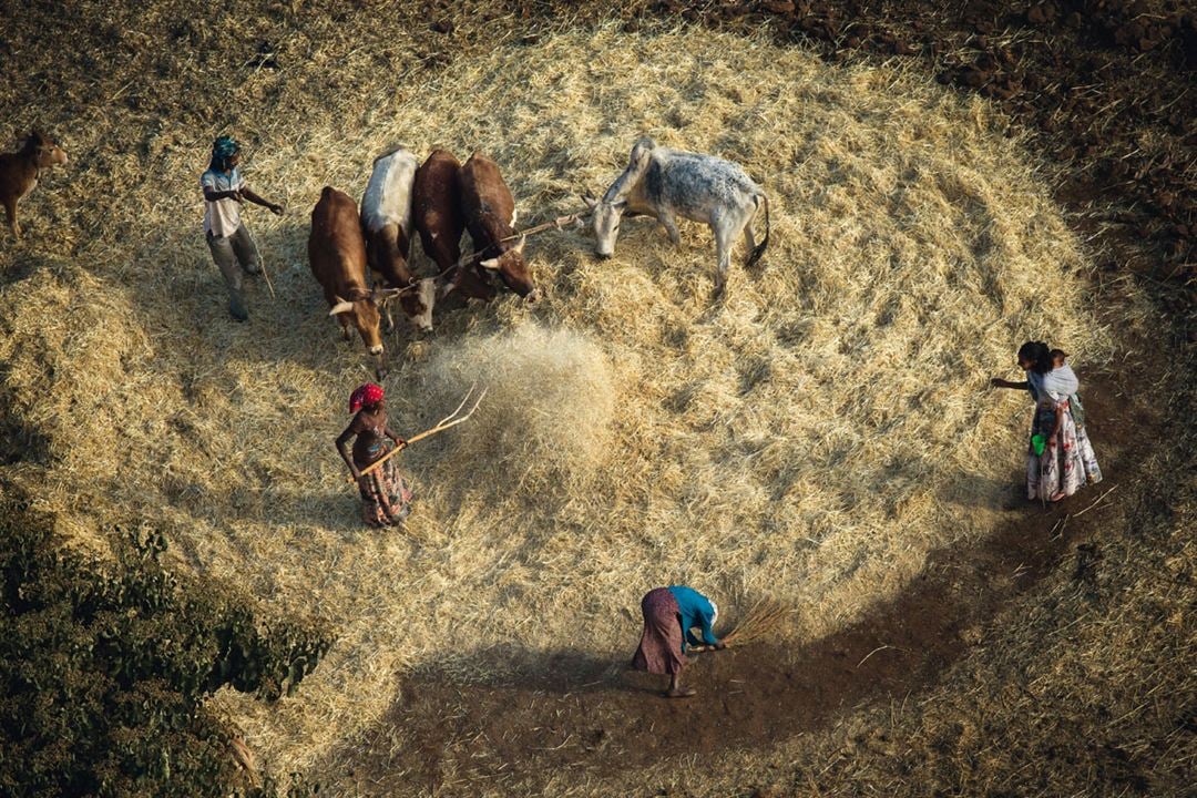 Human : Fotoğraf