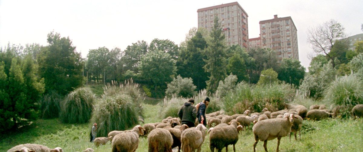 Binbir Gece: Bölüm 2, Kasvetli Adam : Fotoğraf