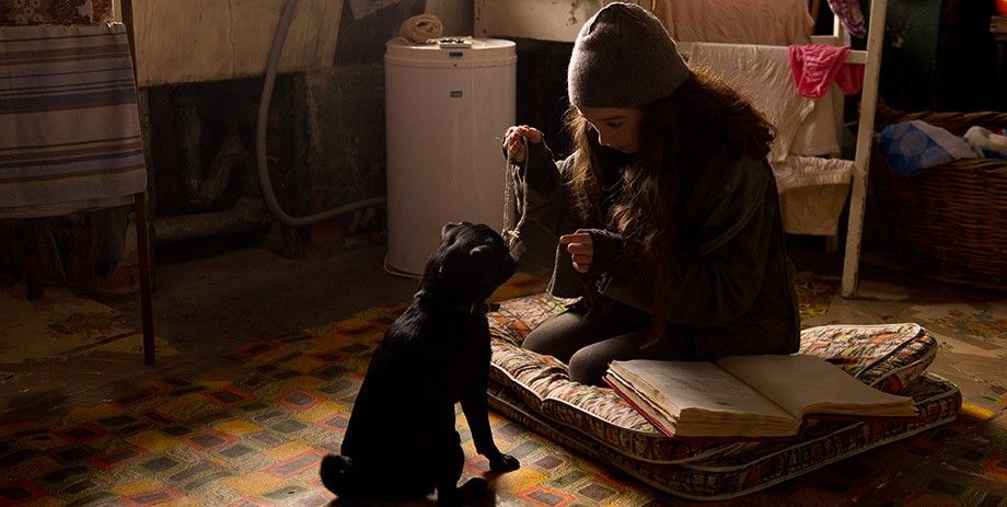 Fotoğraf Raffey Cassidy