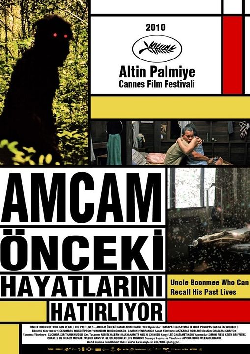 Amcam Önceki Hayatlarını Hatırlıyor : Afiş