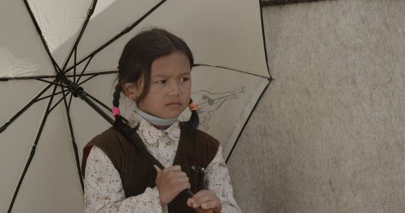 Sütak : Fotoğraf
