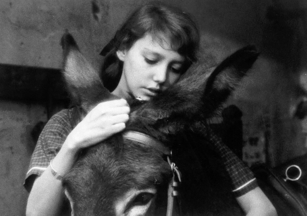 Rastgele Balthazar : Fotoğraf Anne Wiazemsky