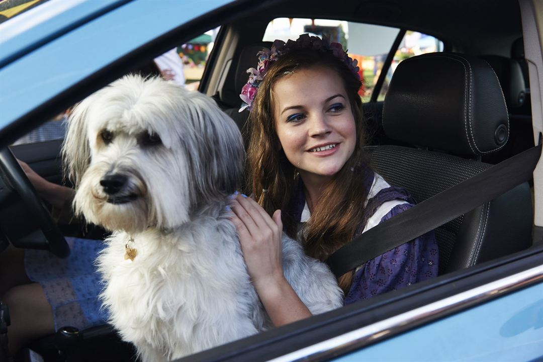 Pudsey the Dog: The Movie : Fotoğraf Isobel Meikle-Small