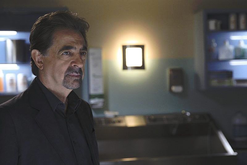 Fotoğraf Joe Mantegna