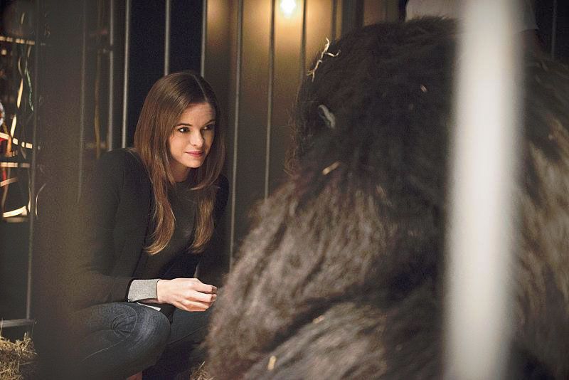The Flash (2014) : Fotoğraf Danielle Panabaker
