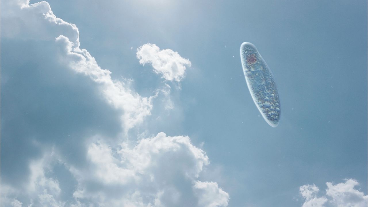 Saltanatın Mezarlığı : Fotoğraf