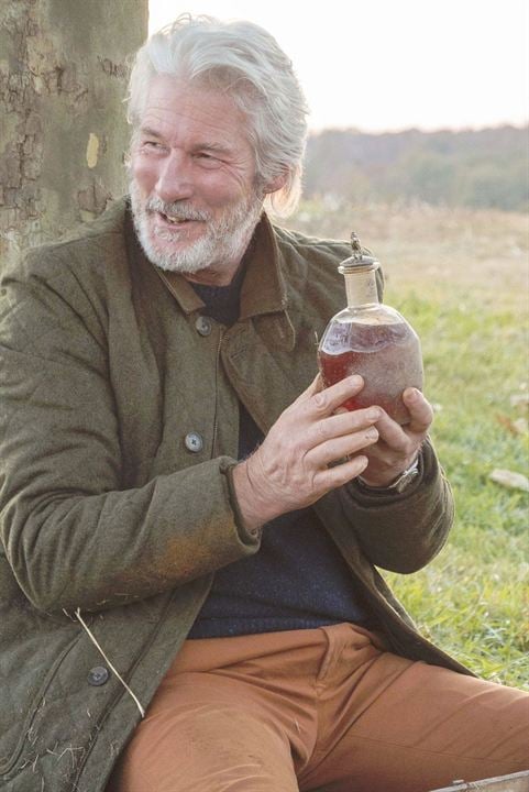 The Benefactor : Fotoğraf Richard Gere