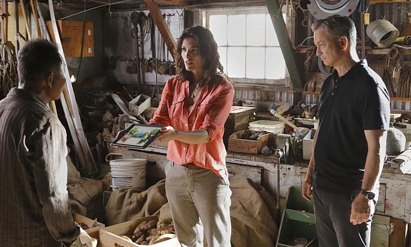 Criminal Minds: Beyond Borders : Fotoğraf Gary Sinise, Alana De La Garza