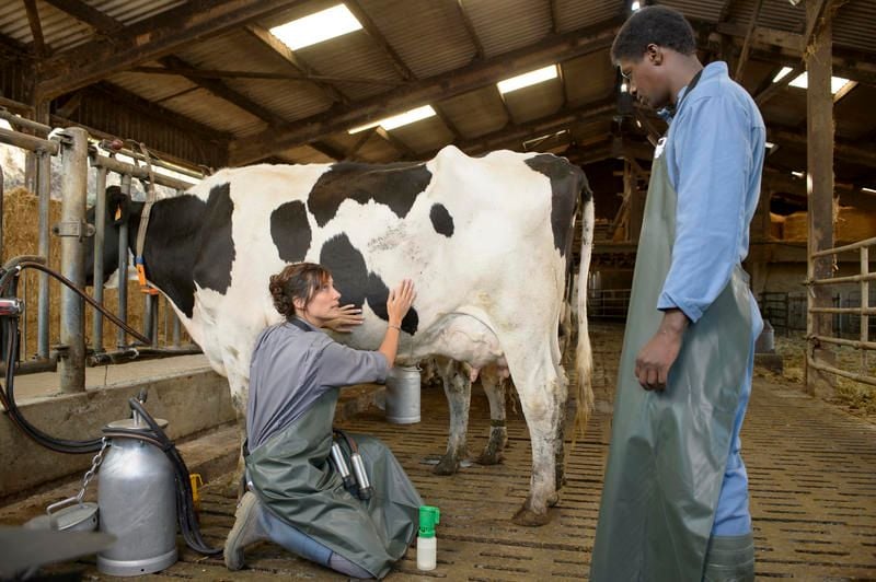 Fotoğraf Julie de Bona, David Baiot