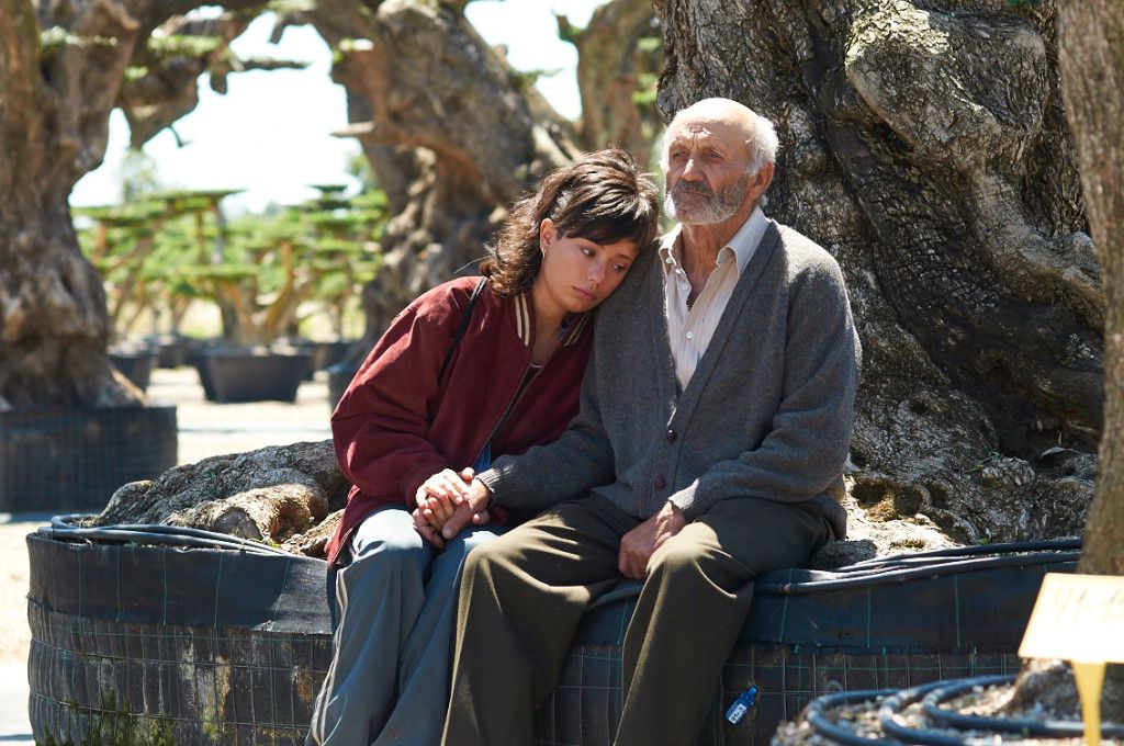 El Olivo : Fotoğraf Manuel Cucala, Anna Castillo