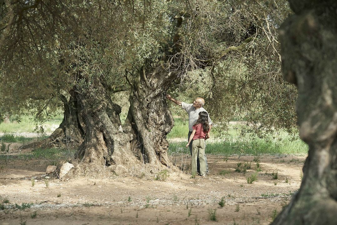 El Olivo : Fotoğraf