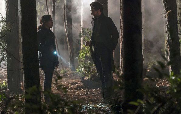 Fotoğraf Tom Mison, Nicole Beharie