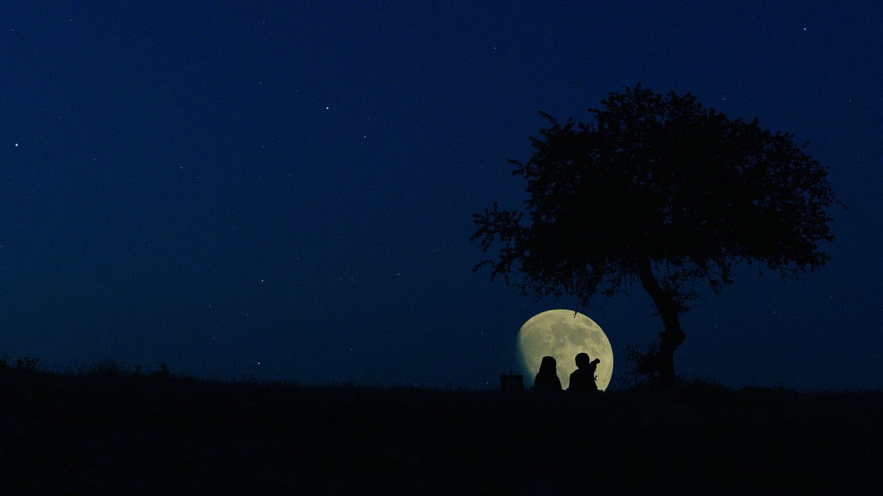Yitik Kuşlar : Fotoğraf