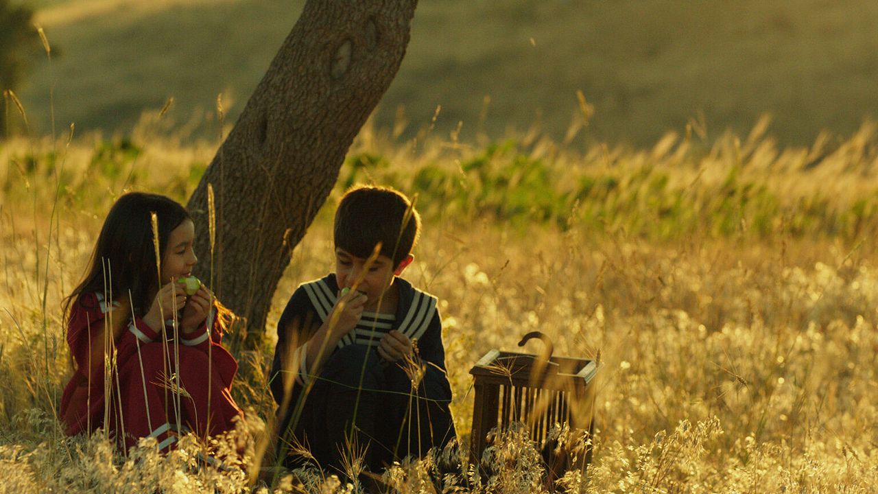 Yitik Kuşlar : Fotoğraf