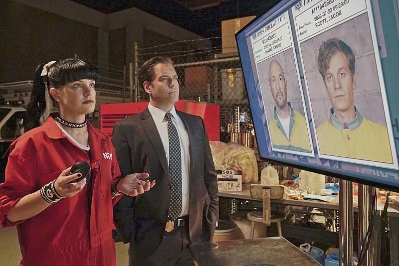 Fotoğraf Pauley Perrette, Michael Weatherly