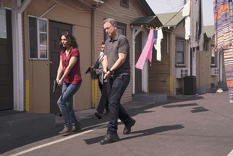 Criminal Minds: Beyond Borders : Fotoğraf Gary Sinise, Alana De La Garza