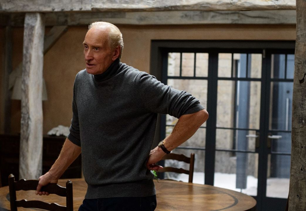 Senden Önce Ben : Fotoğraf Charles Dance