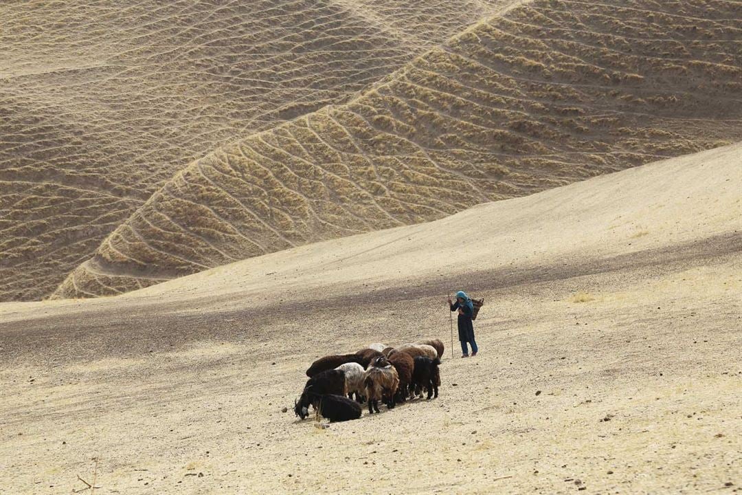 Kurtla Kuzu : Fotoğraf