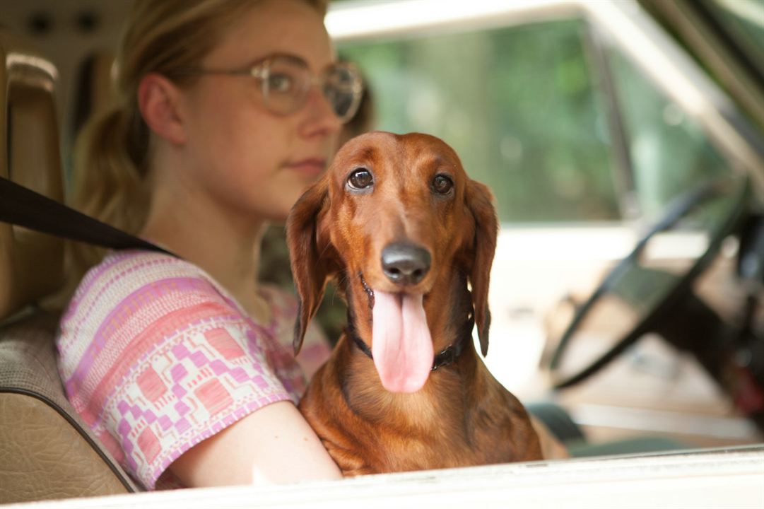 Wiener-Dog : Fotoğraf Greta Gerwig