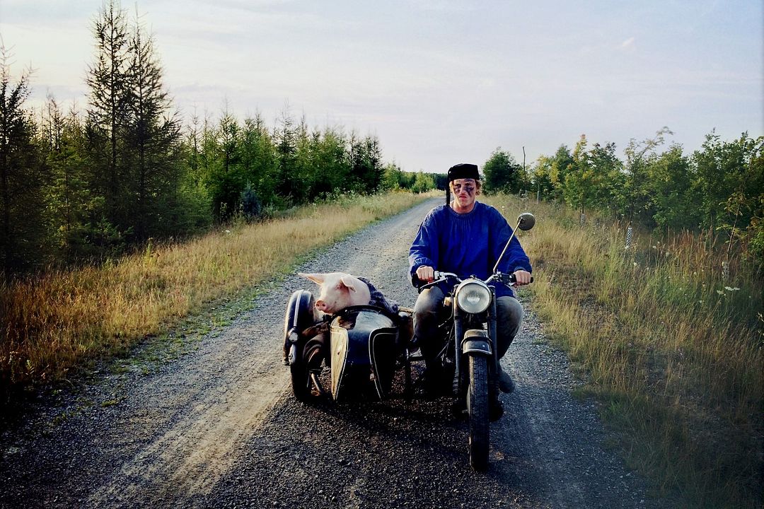 Fotoğraf Golo Euler